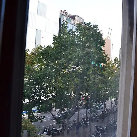 Rua 3*